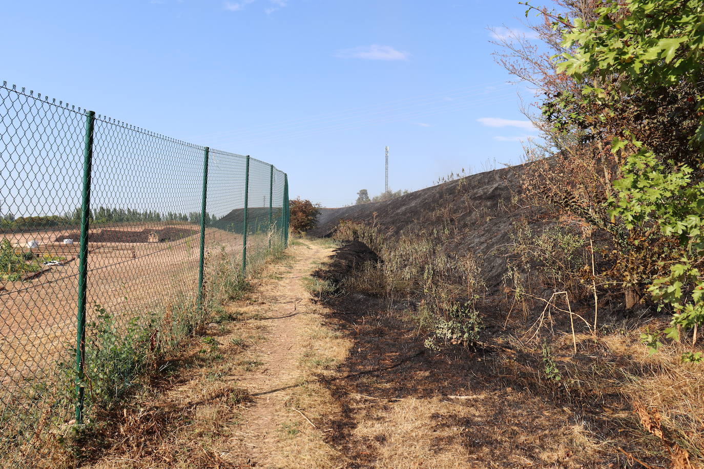 Tierra quemada en el cerro de San Miguel tras el incendio de Fuentecillas