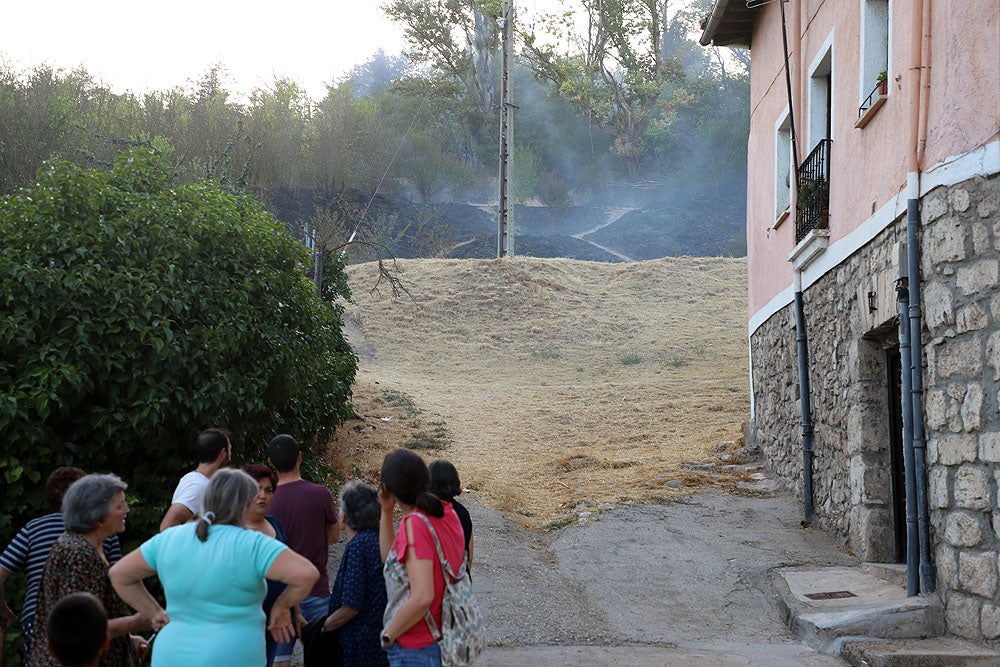 Fotos: Incendio en el Parque del Castillo de Burgos