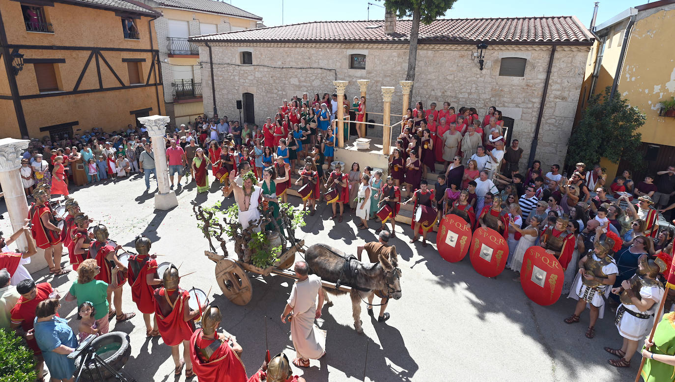 Fotos: Fiesta en honor al dios Baco en Baños de Valdearados (Burgos)