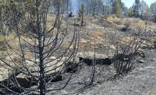 Superficie quemada en el incendio de Quintanilla del Coco. 