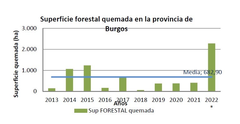 Superficie forestal quemada en la provincia de Burgos. 