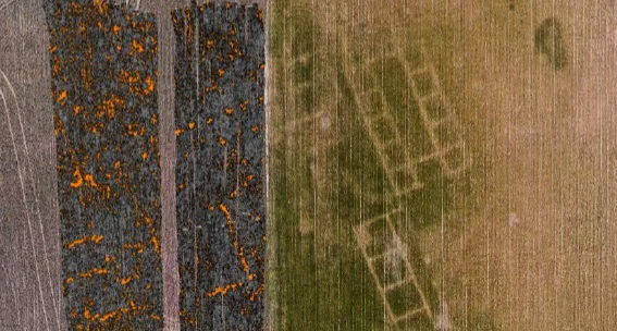 Combinación de fotografía aérea y prospección geofísica con georradar (29/08/2022). 