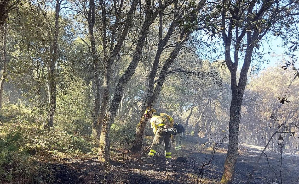 Incendio forestal en Villatomil.