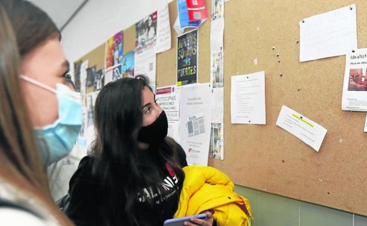 Dos estudiantes miran anuncios de pisos compartidos en un tablón. 