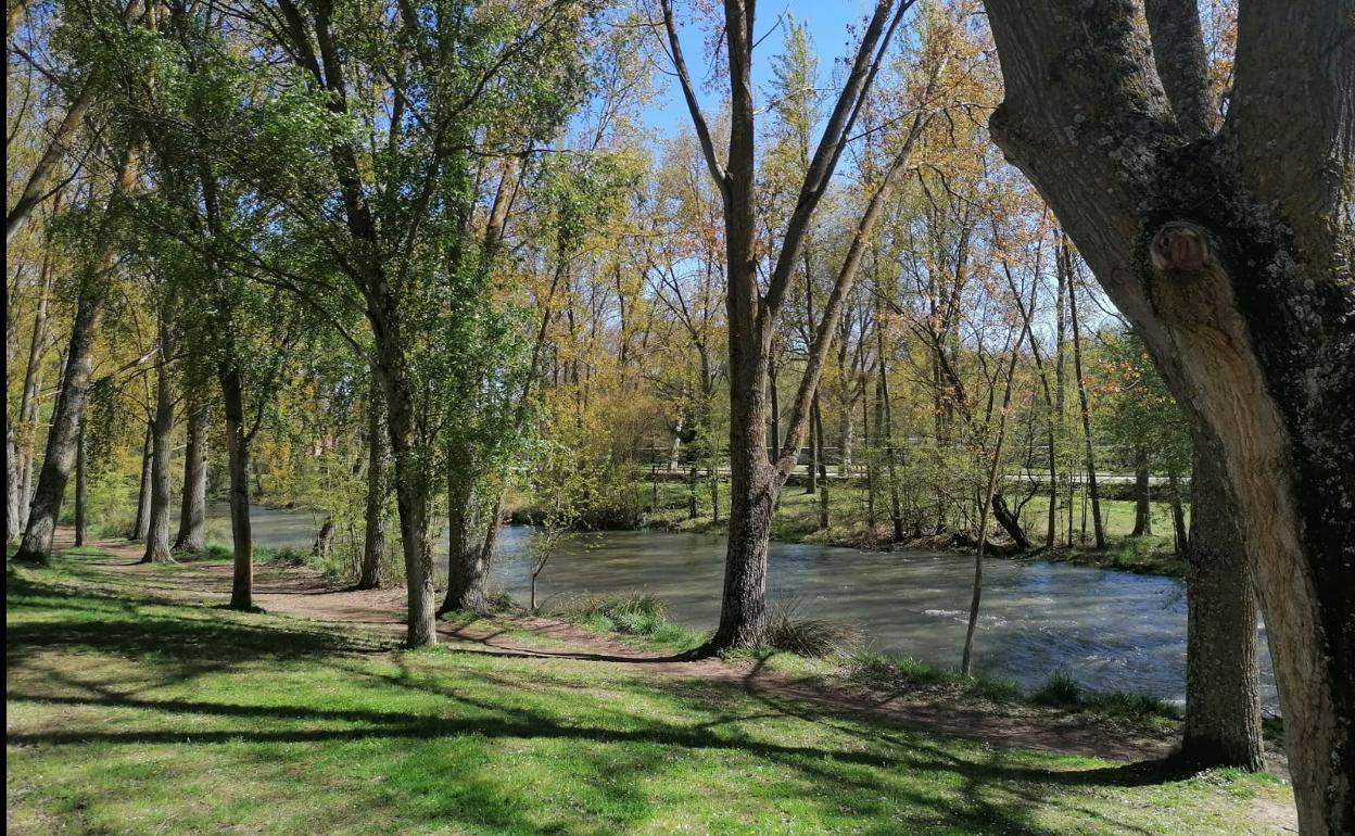 Río Arlanzón a su paso por Burgos.