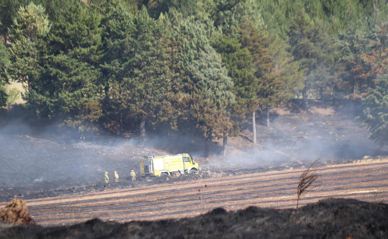 Dotación del operativo regional en la extinción de un fuego en Burgos.