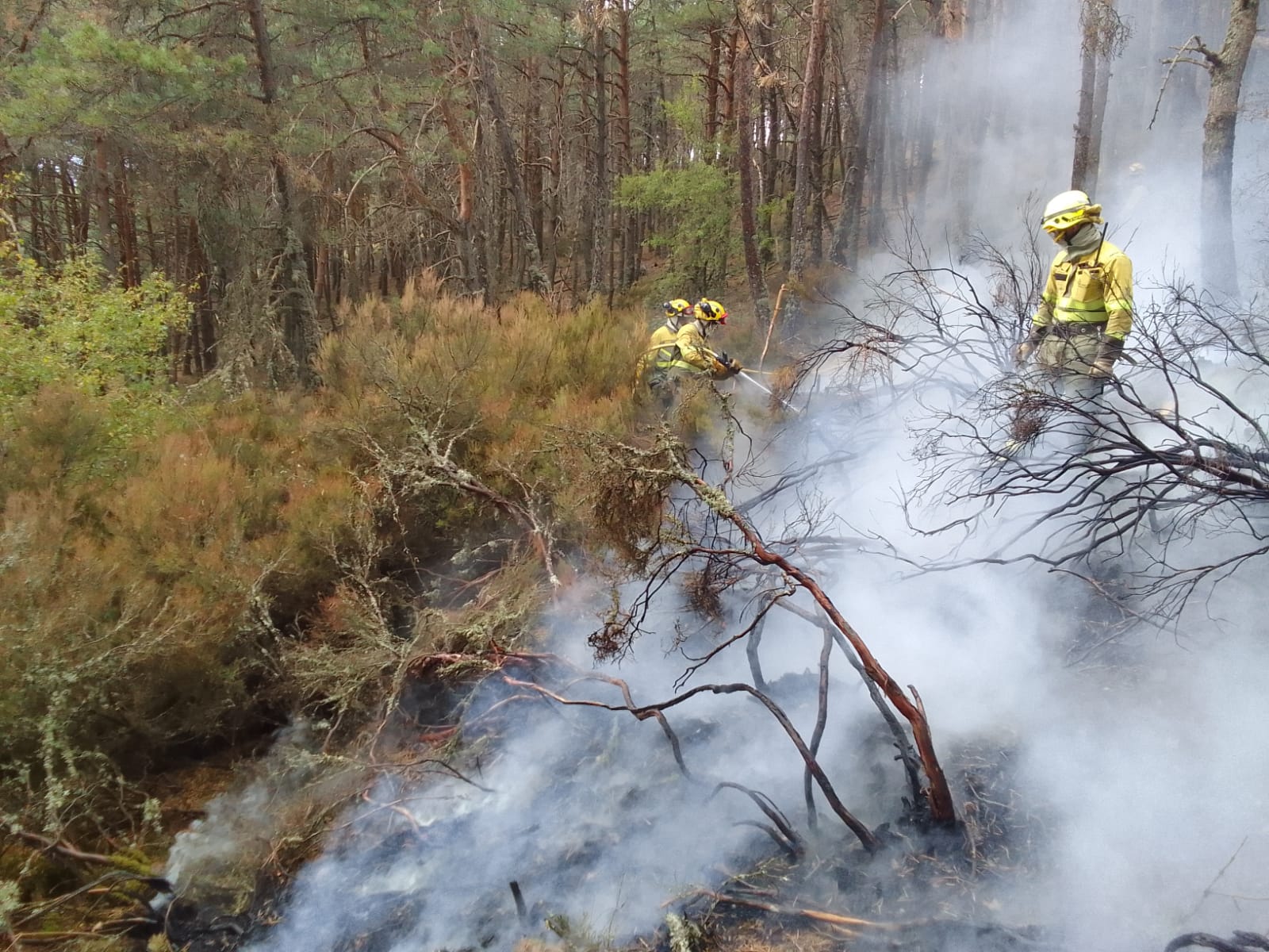 Fotos: Incendio en Mazueco de Lara