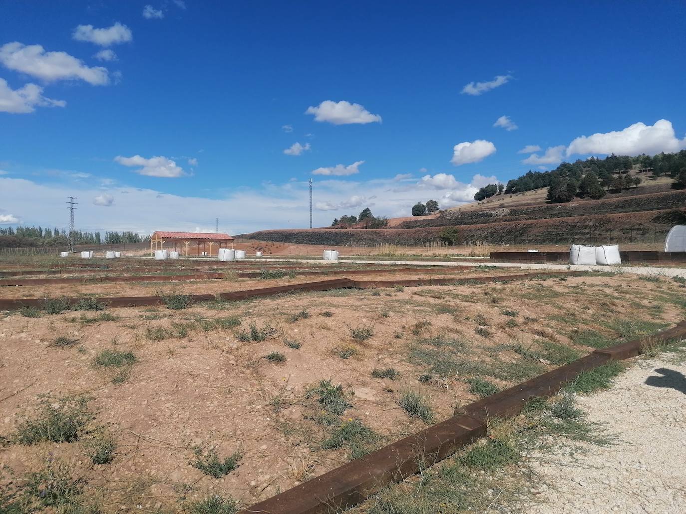 Fotos: Proyecto intergeneracional en los Huertos de Ocio de Fuentecillas