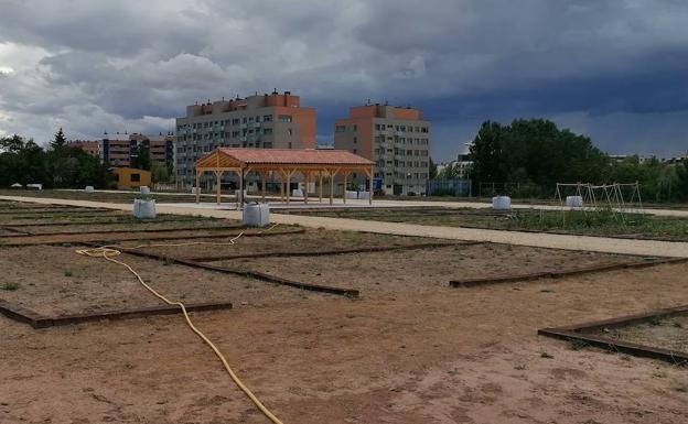 Cuando cultivar un huerto es terapéutico y nos enseña el valor de la naturaleza