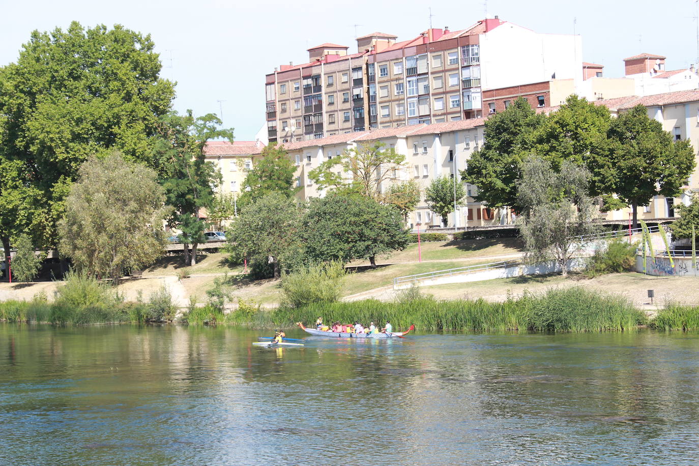 Fotos: Miranda rema a favor del Ebro en la Primera Carrera Empresarial de Piraguas