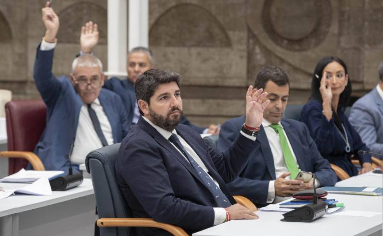 El presidente de Murcia, Fernando López Miras, en el pleno de la Asamblea de la región 