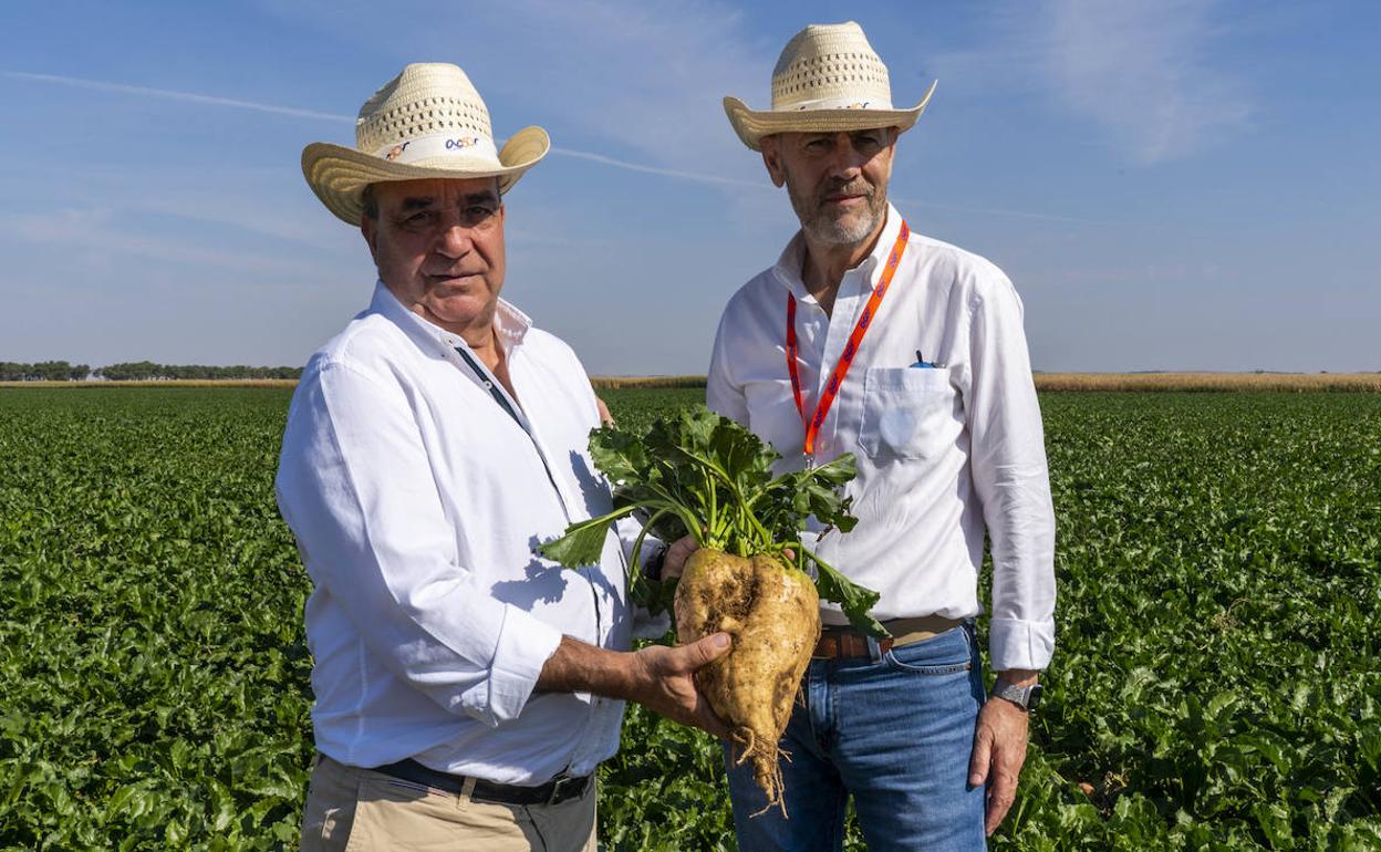 Juan Pedro Medina, viceconsejero, y Jesús Posadas, presidente de Acor, durante una jornada de campo en la provincia de Ávila, organizada por Acor. 