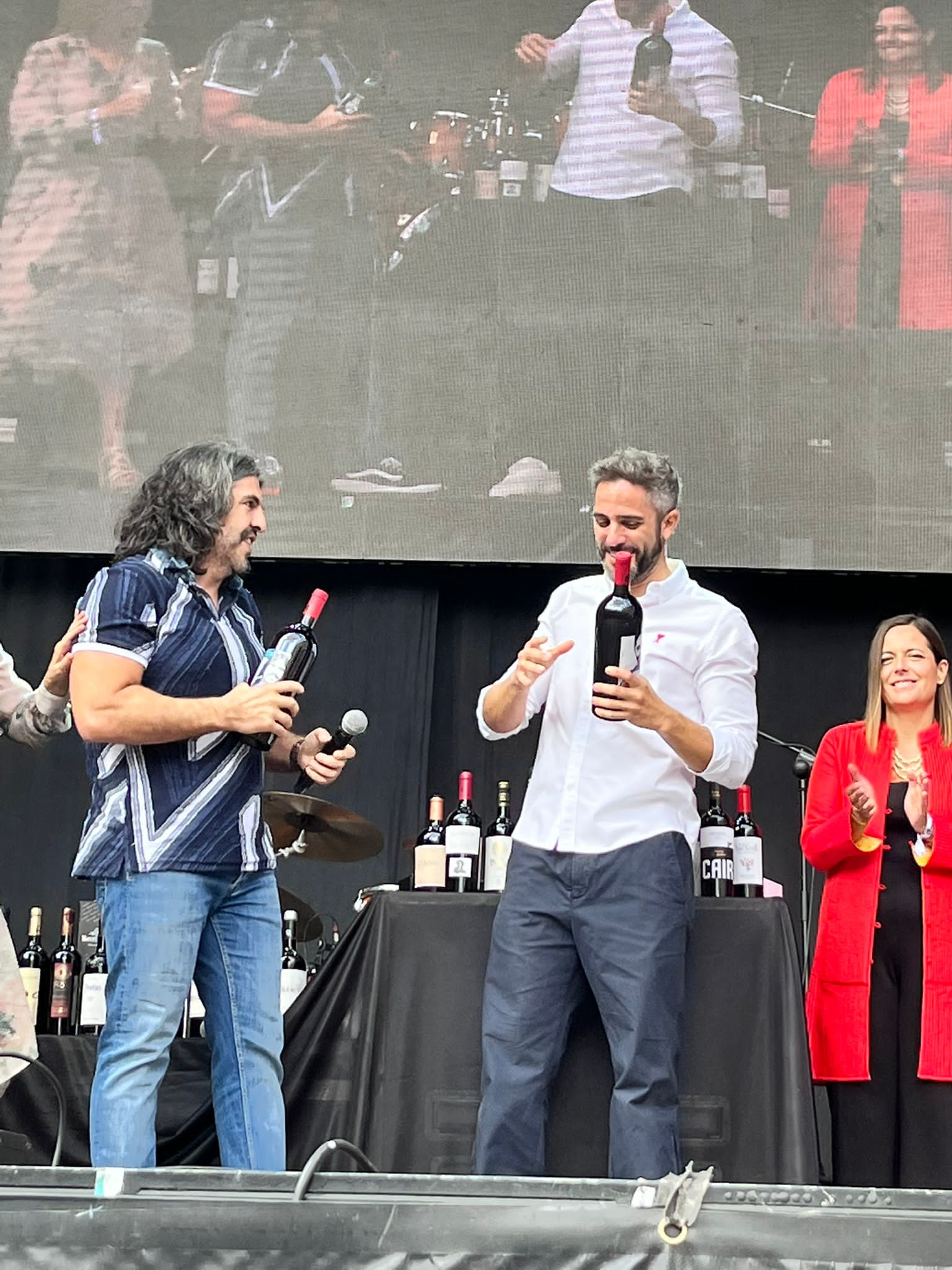 Fotos: Multitudinaria Fiesta de la Vendimia en Aranda de Duero