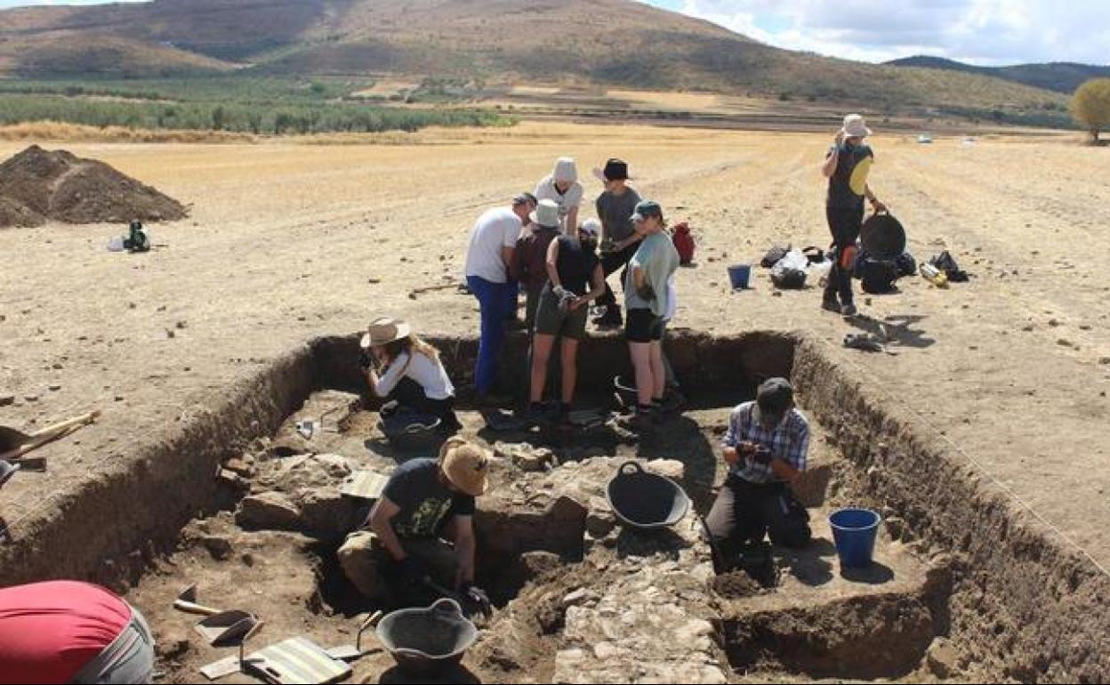 Arqueólogos y estudiantes de las Universidades de Viena y Marburg trabajando en el yacimiento de la Campiña Sur.