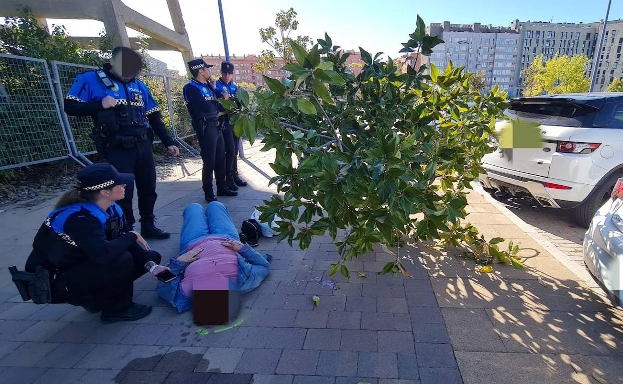 La peatona herida por el árbol derribado en Burgos 