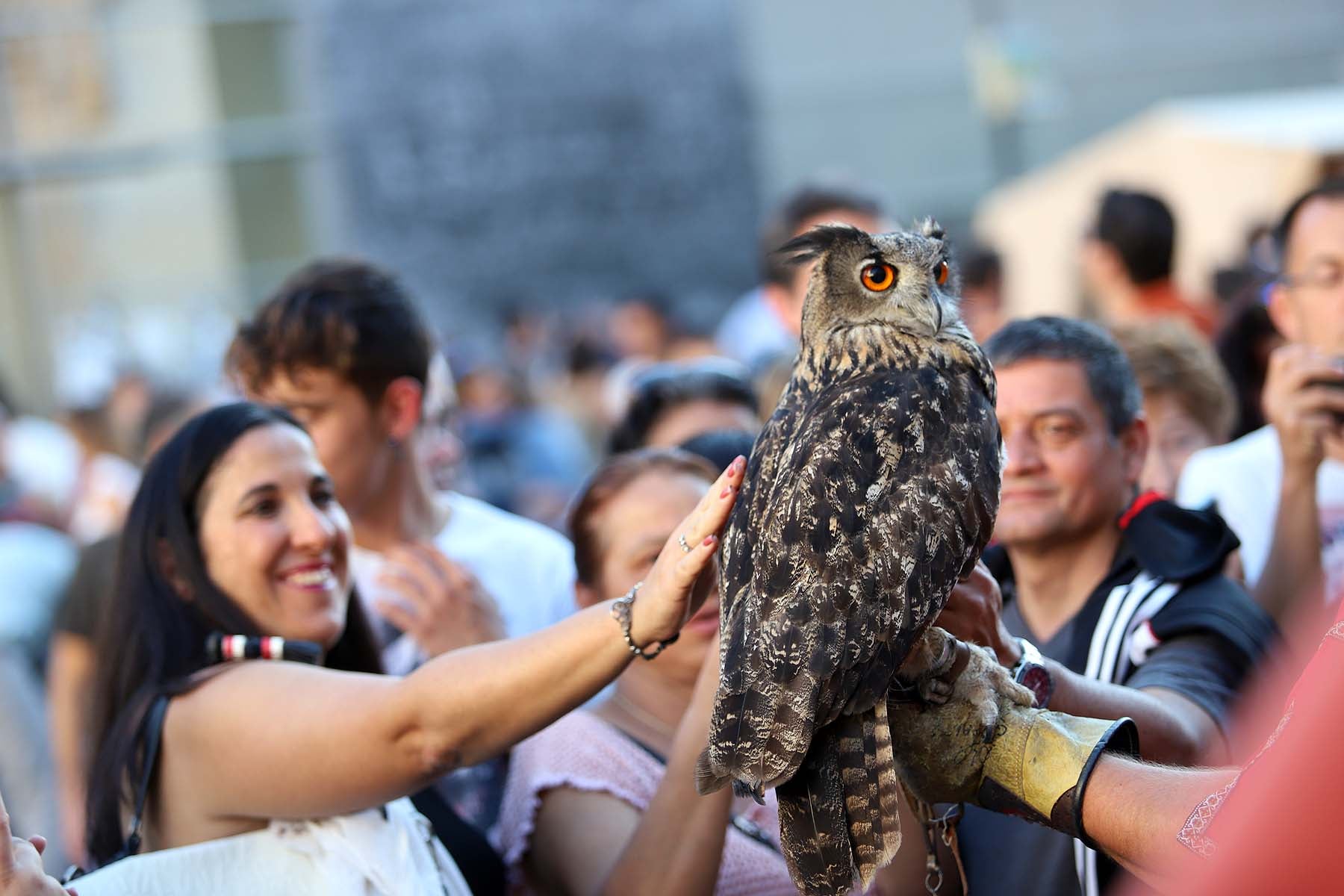 Fotos: El Festival Burgos Cidiano se despide hasta el año que viene