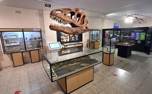 Imagen principal - Museo de los Dinosaurios de Salas de los Infantes.