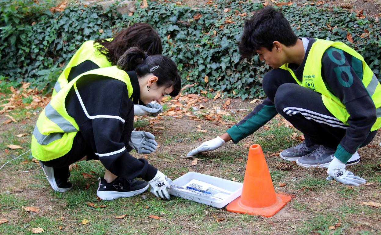 varias decenas de escolares han participado en la iniciativa. 