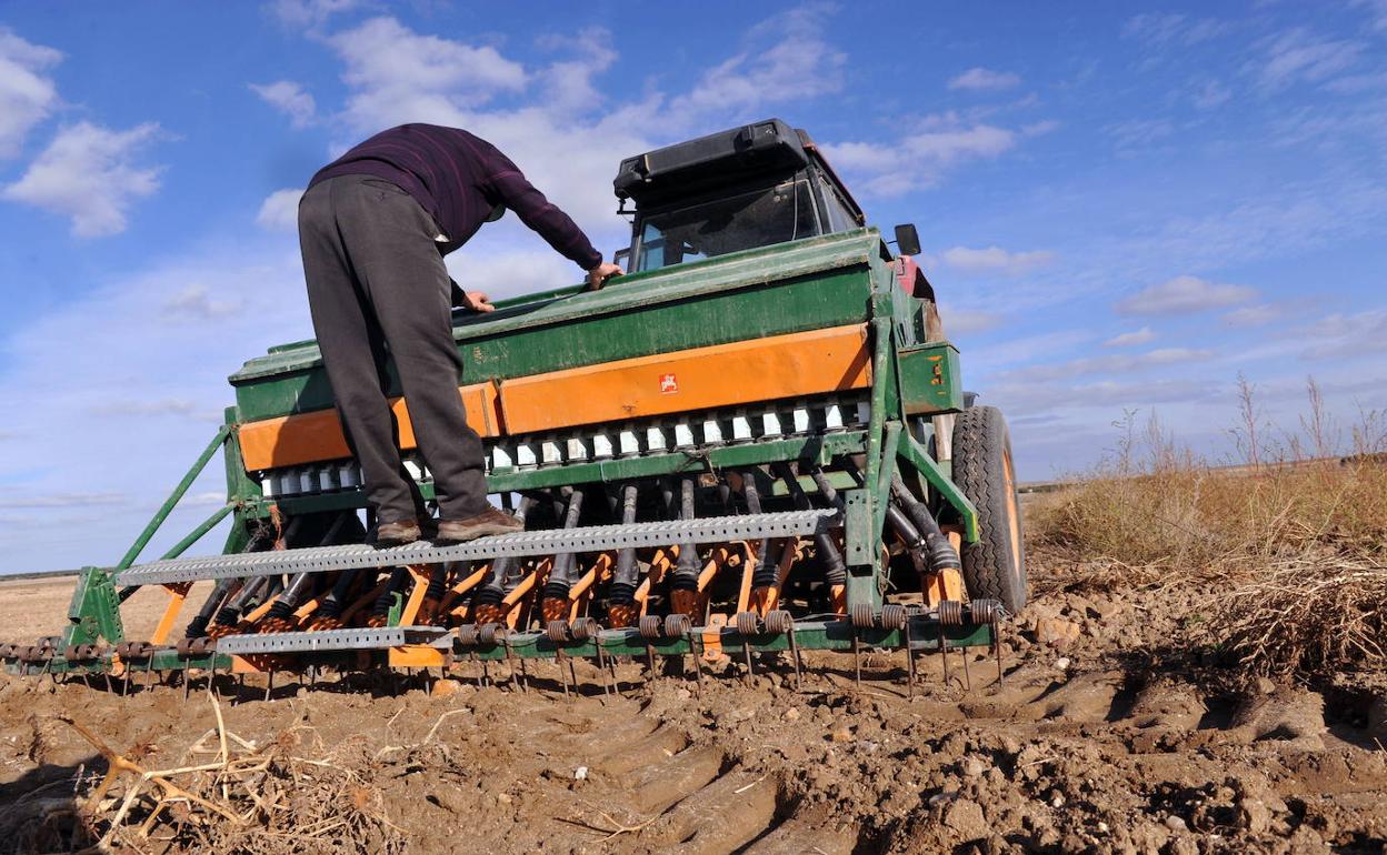 Un agricultor prepara la máquina para sembrar. 