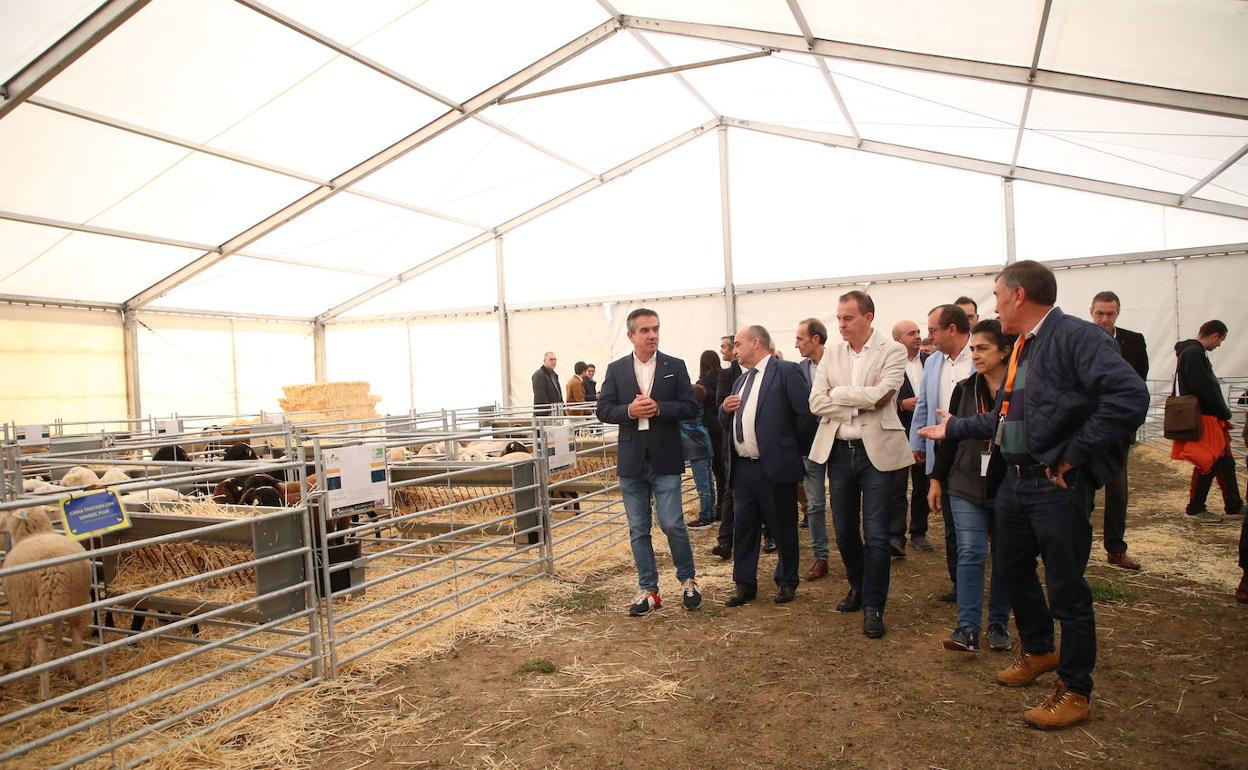 Las autoridades durante la inauguración de Ovinnova, en Zamora. 