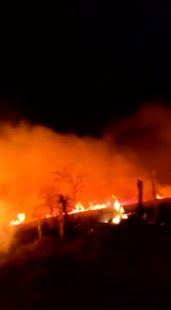 Vídeo del fuego en el puerto de Los Tornos, frontera de Cantabria y Burgos