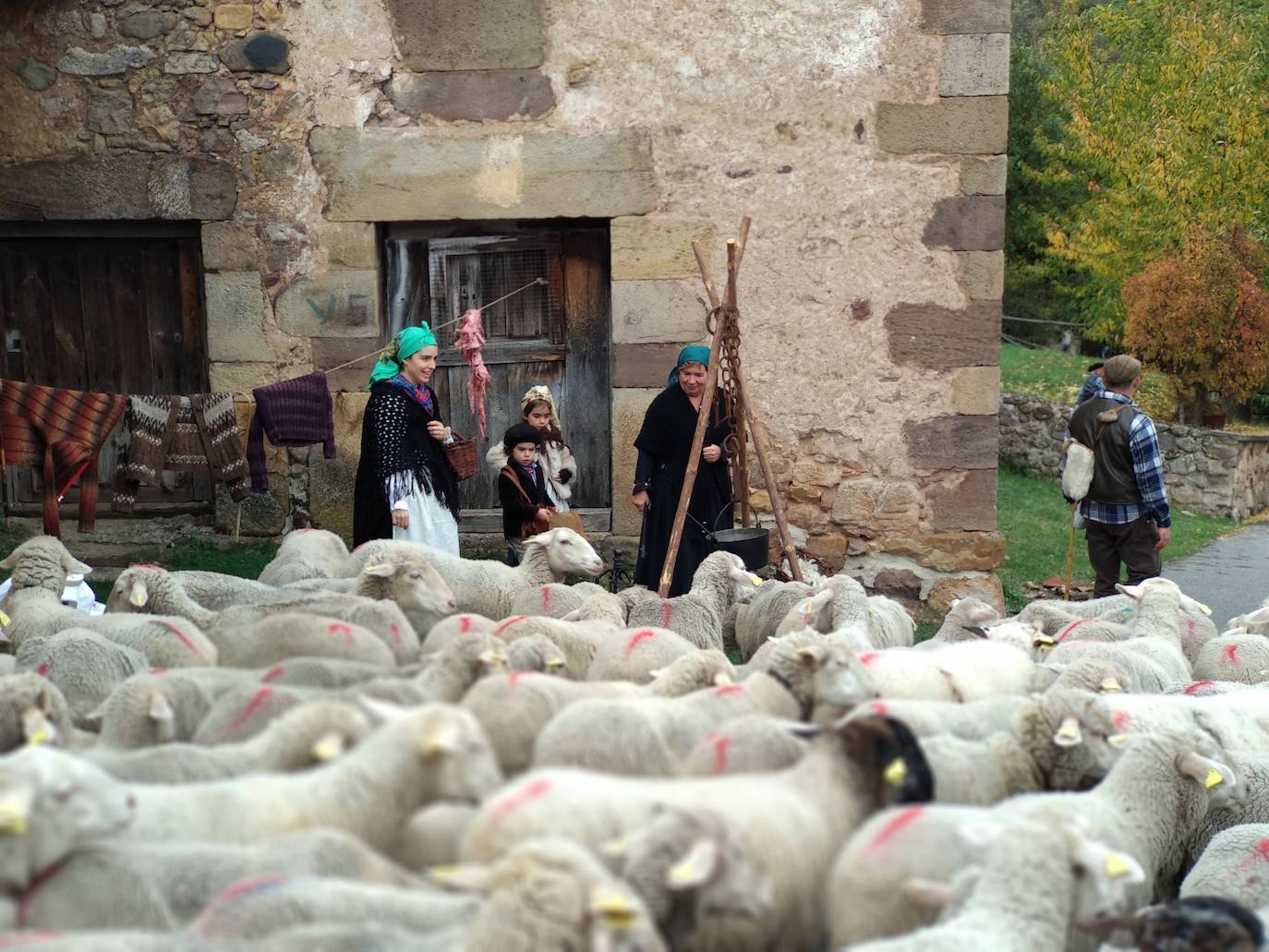 Tras dos años de ausencia, regresa la 'Despedida de los pastores' a este pueblo burgalés. Un momento para recordar la trashumancia, la partida de los rebaños hacia Extremadura y un regreso al pasado que implica a todos los vecinos. 