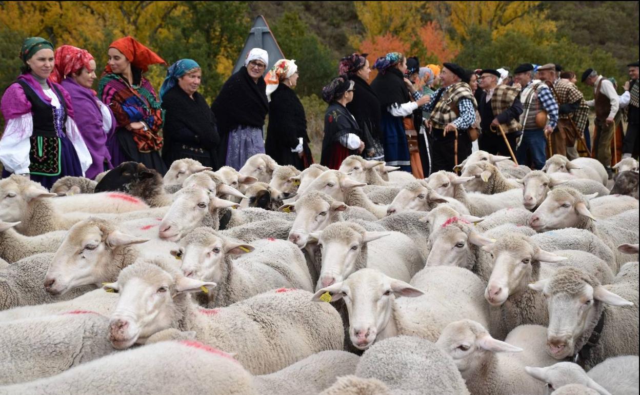 Todo el pueblo se viste con ropas tradicionales para el evento que recuerda la trashumancia. 