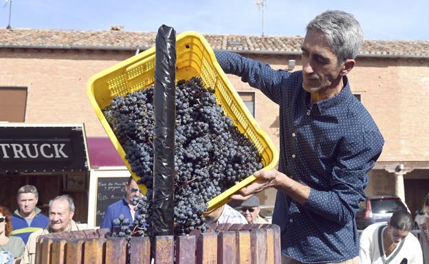 La DO Arlanza cierra su campaña más larga con más de un millón de kilos de uva recogidos