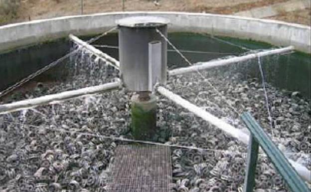 Filtro biológico en la depuradora de Quintana Martin Galíndez