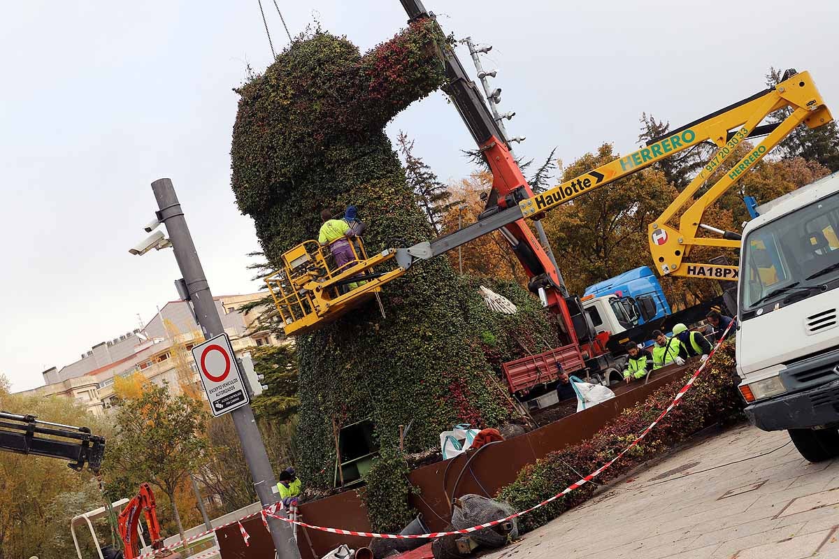 Comienza la retirada del peregrino de flores gigante que la Fundación VIII Centenario de la Catedral instaló hace poco más de un año frente al Fórum Evolución. 