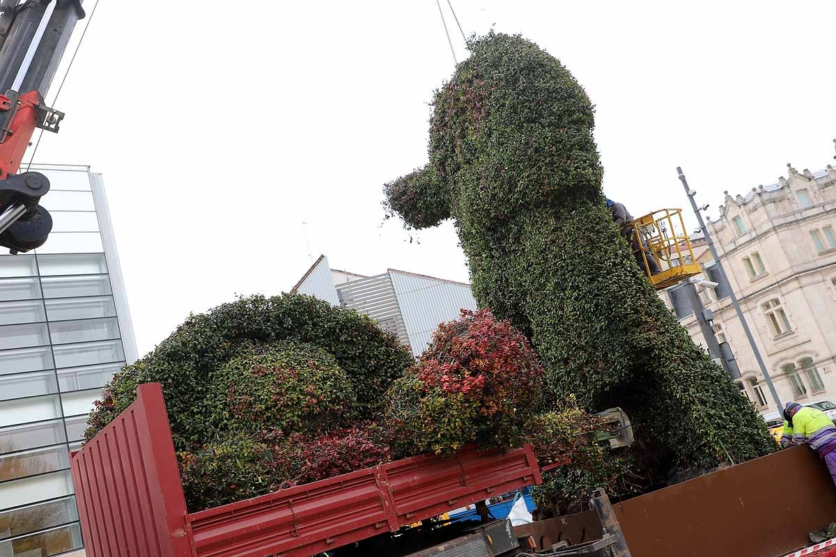 Comienza la retirada del peregrino de flores gigante que la Fundación VIII Centenario de la Catedral instaló hace poco más de un año frente al Fórum Evolución. 