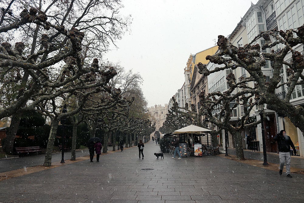 Fotos: Caen las primeras nieves en Burgos