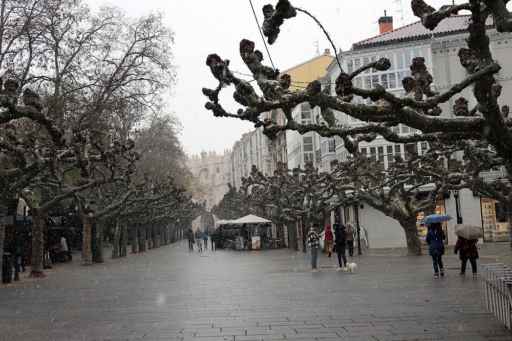 Fotos: Caen las primeras nieves en Burgos