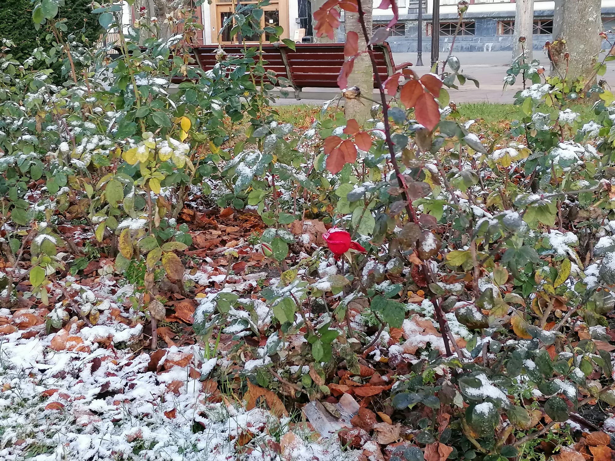 Fotos: La nieve caída en la noche se ha mantenido hsta la salida del sol