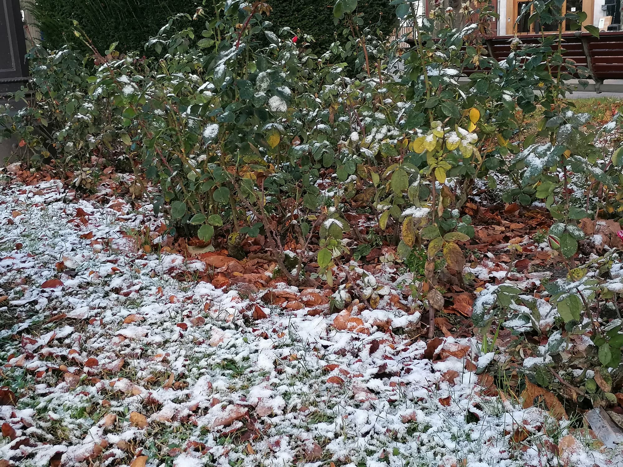 Fotos: La nieve caída en la noche se ha mantenido hsta la salida del sol