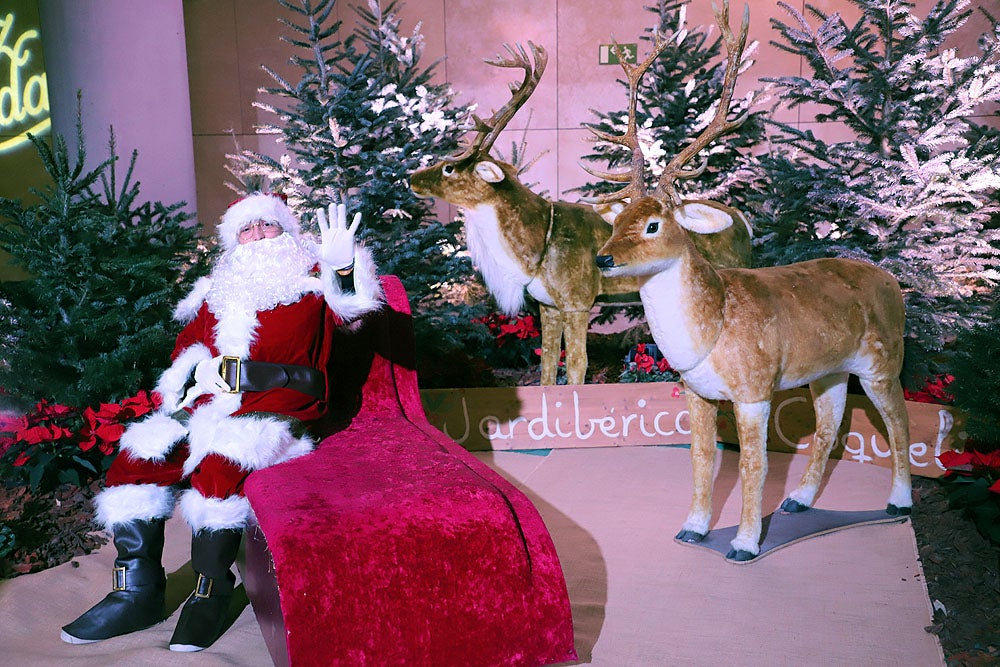 Fotos: Feria de Navidad de los Floristas de Burgos