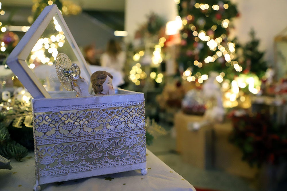 Fotos: Feria de Navidad de los Floristas de Burgos