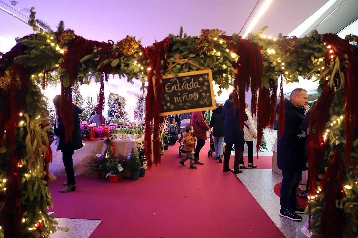 Fotos: La Feria de Navidad de los Floristas cierra con nota en Burgos