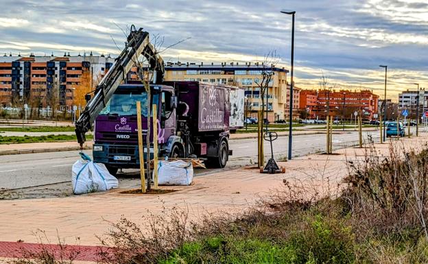 Llegan los árboles, bancos y papeleras a Fuentecillas