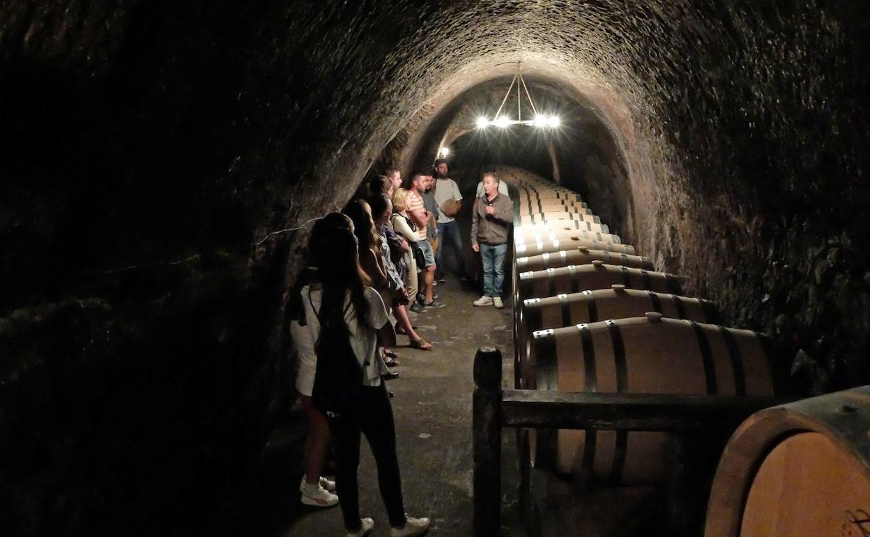 Visita a una bodega de la Ruta del Vino Ribera del Duero.