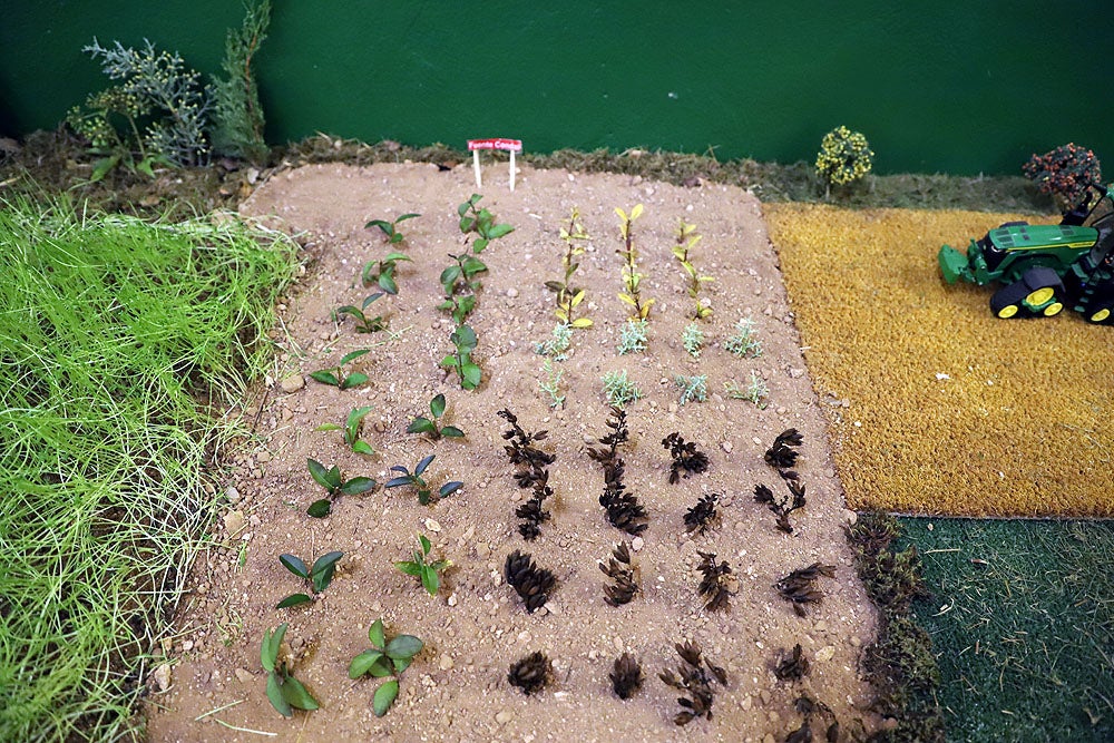 Fotos: Vuelve el belén agrícola de Castellanos de Castro