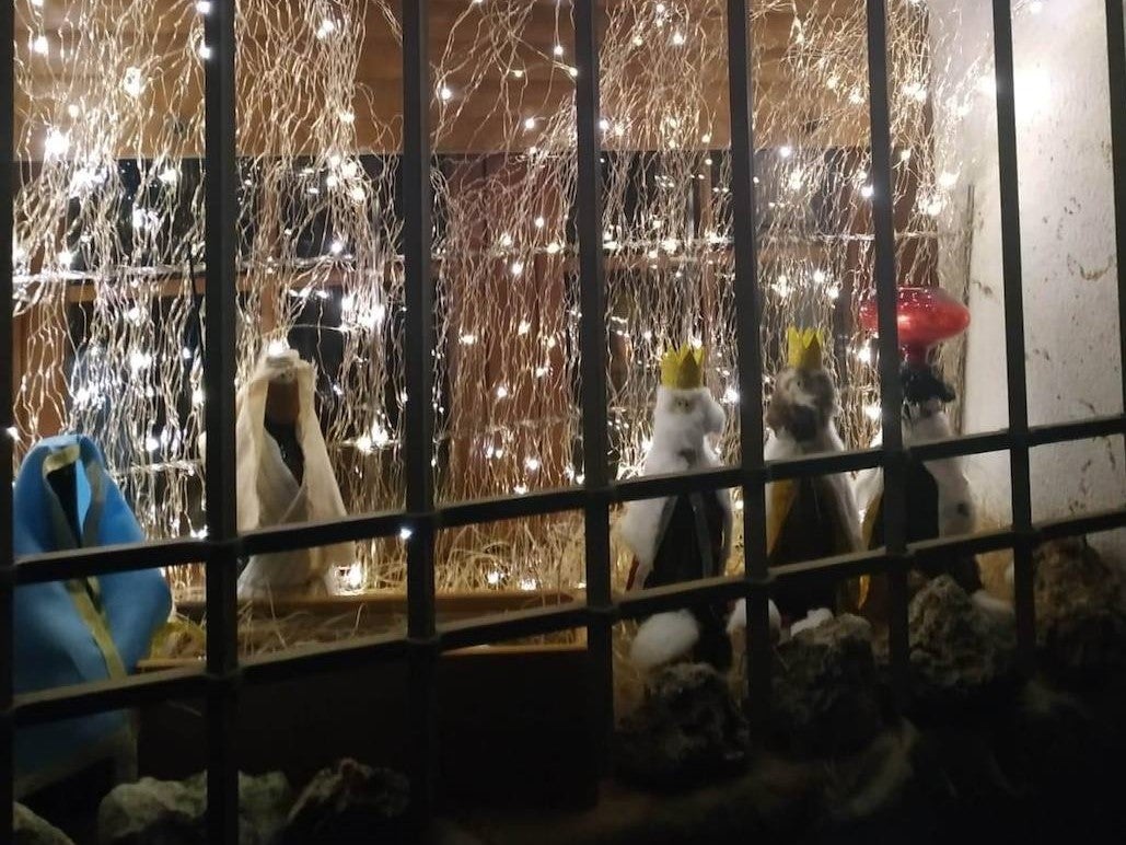 Fotos: Los vecinos de Moradillo de Roa decoran sus casa para ganar el concurso navideño