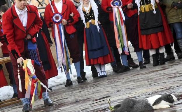 El Defensor del Pueblo admite una queja contra Poza de la Sal por usar gallos y conejos en el Escarrete