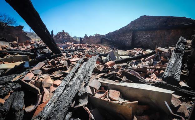 Imagen principal - El incendio del Arlanza calcinó miles de hectáreas. 