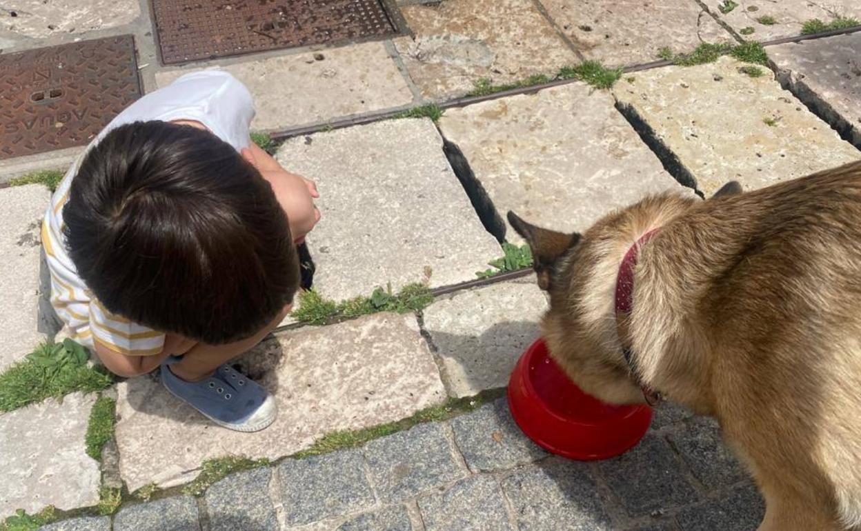 Burgos ha vivido varias olas de calor durante todo el año.