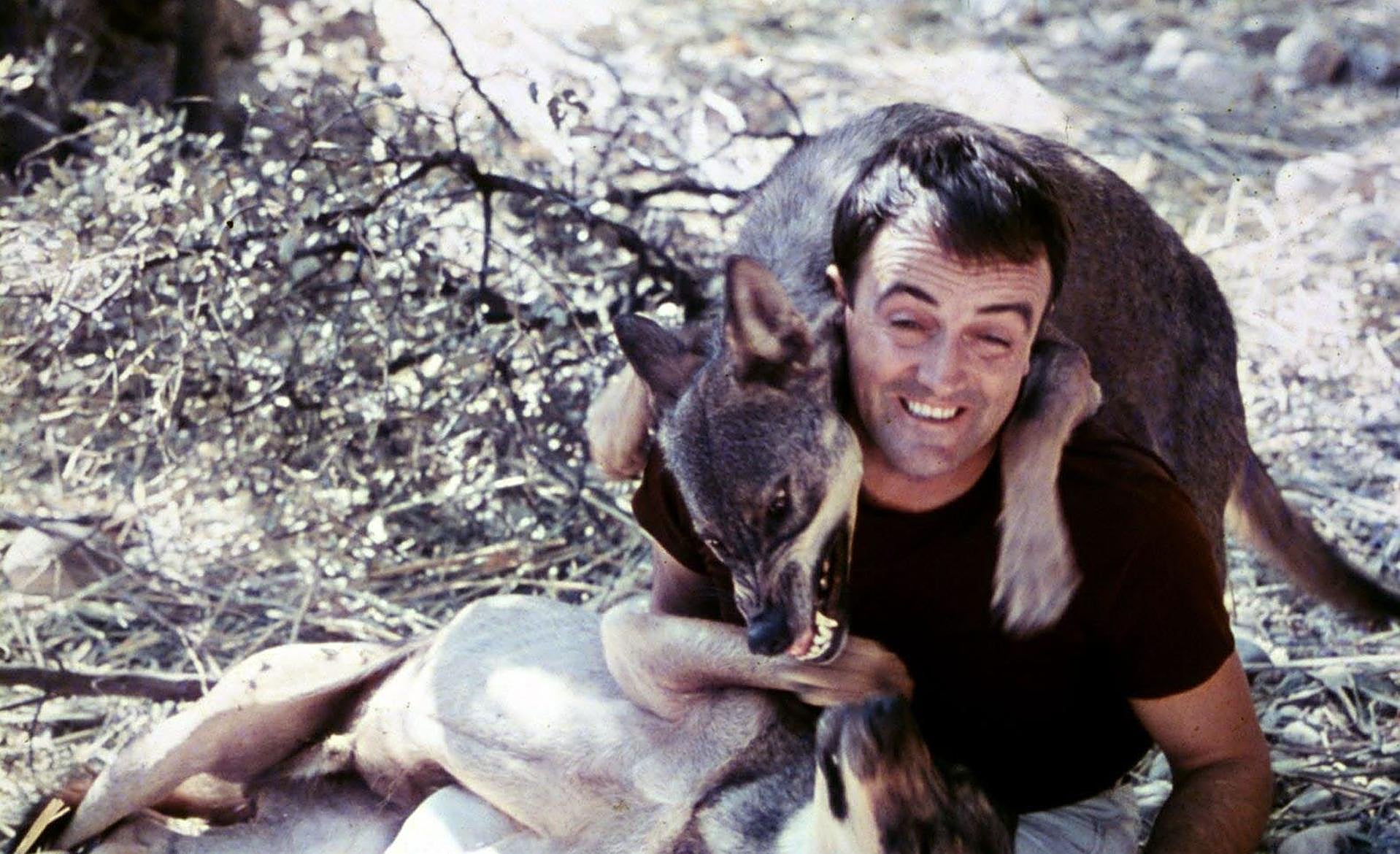 Scroll Story imagen 8