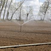 La falta de agua en algunas cuencas de Burgos complica el inicio de la temporada de riego