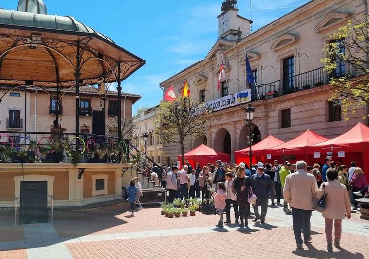 Celebración de la Feria de las Flores en Miranda.