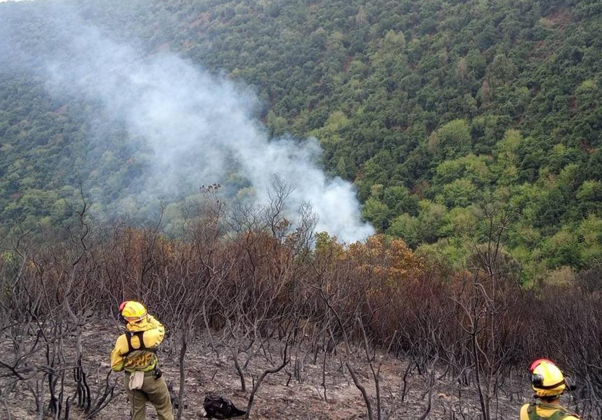 Incendio forestal en Burgos.