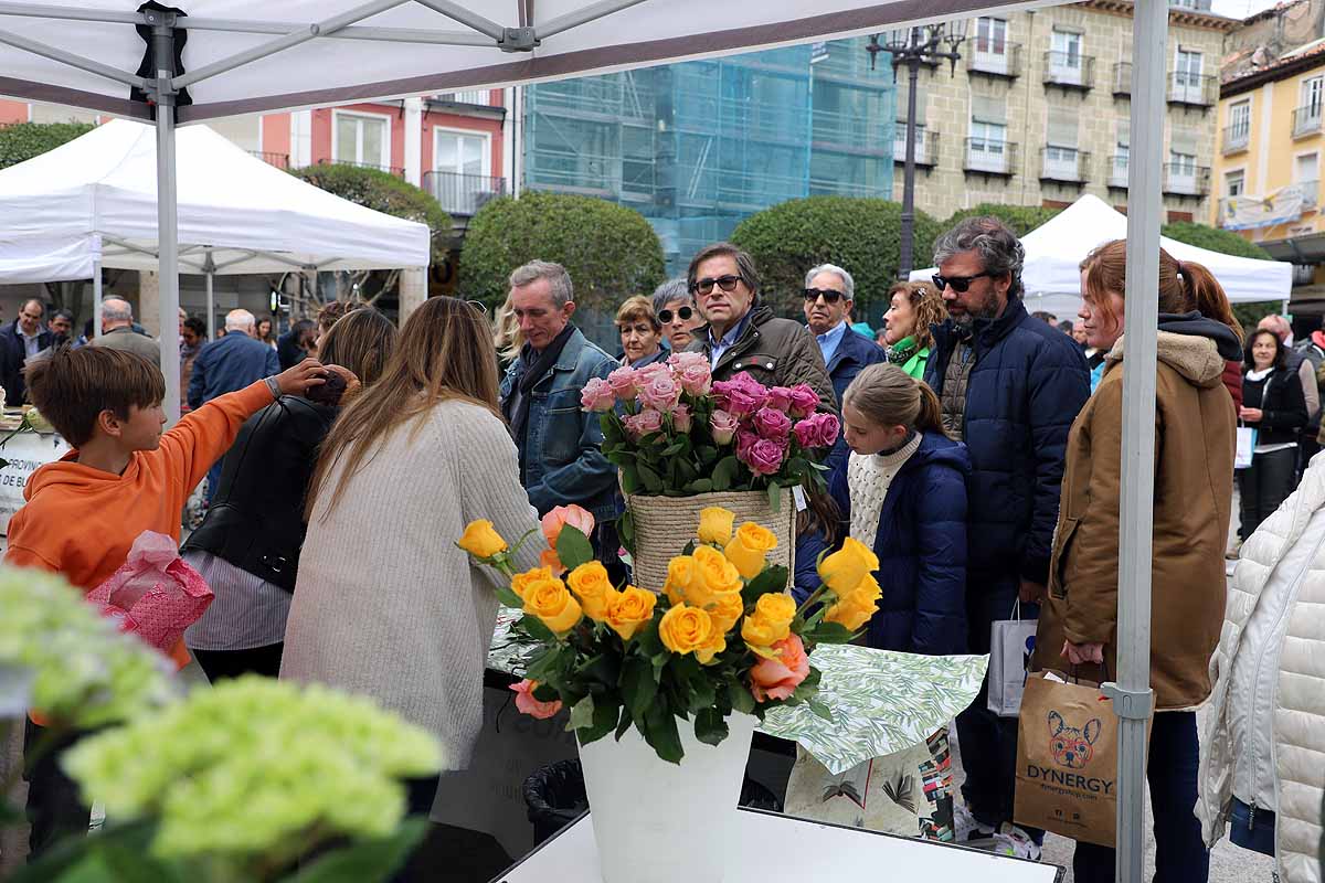 La feria del Día del Libro llena de lectores y literatura la plaza Mayor de Burgos